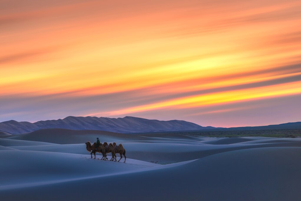 gobi desert: where silence, survival, and ancient stories mee